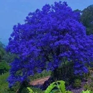 Meet your Posher, Leticia